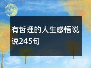 有哲理的人生感悟说说245句