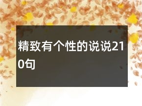 精致有个性的说说210句