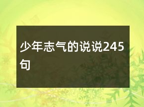 少年志气的说说245句