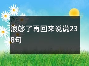 浪够了再回来说说238句