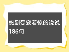 感到受宠若惊的说说186句