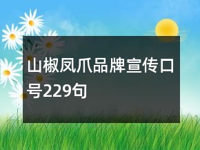 山椒凤爪品牌宣传口号229句