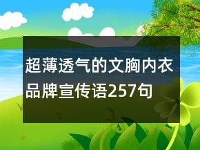 超薄透气的文胸内衣品牌宣传语257句