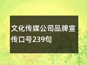 文化传媒公司品牌宣传口号239句