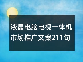 液晶电脑电视一体机市场推广文案211句