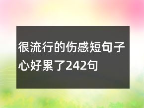 很流行的伤感短句子心好累了242句