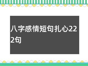 八字感情短句扎心222句
