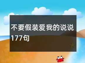 不要假装爱我的说说177句