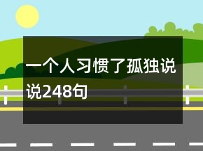 一个人习惯了孤独说说248句