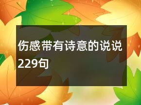 伤感带有诗意的说说229句