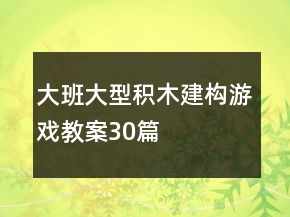 大班大型积木建构游戏教案30篇