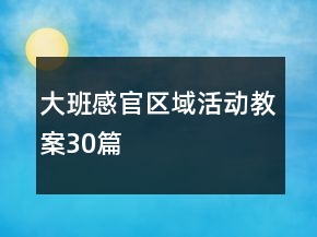 大班感官区域活动教案30篇