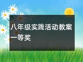 八年级实践活动教案一等奖