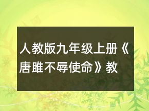 人教版九年级上册《唐雎不辱使命》教案一等奖