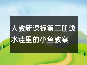 人教新课标第三册：浅水洼里的小鱼教案一等奖