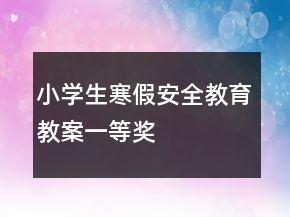 小学生寒假安全教育教案一等奖