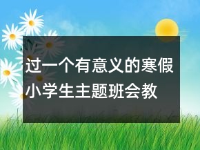 过一个有意义的寒假小学生主题班会教案一等奖
