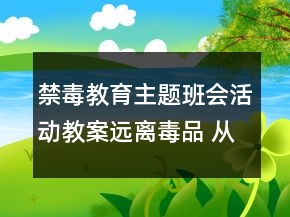 禁毒教育主题班会活动教案：远离毒品 从第一口做起一等奖