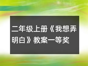 二年级上册《我想弄明白》教案一等奖