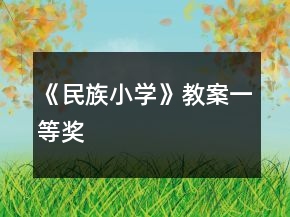 《民族小学》教案一等奖