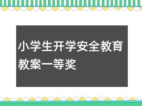 小学生开学安全教育教案一等奖
