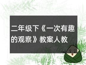 二年级下《一次有趣的观察》教案（人教版）一等奖
