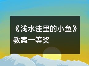 《浅水洼里的小鱼》教案一等奖