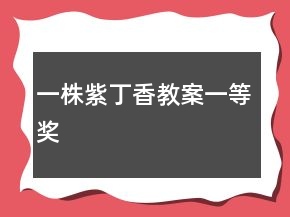 一株紫丁香教案一等奖