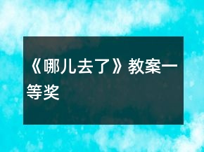 《哪儿去了》教案一等奖