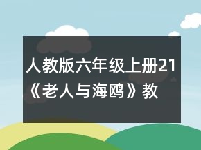 人教版六年级上册21《老人与海鸥》教案一等奖