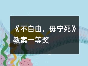 《不自由，毋宁死》教案一等奖