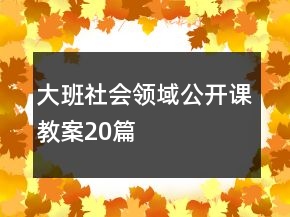 大班社会领域公开课教案20篇