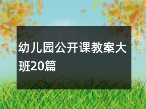 幼儿园公开课教案大班20篇