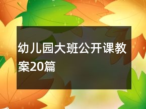 幼儿园大班公开课教案20篇