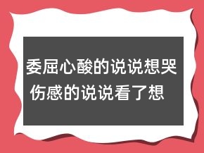 委屈心酸的说说想哭 伤感的说说看了想哭82句