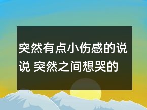 突然有点小伤感的说说 突然之间想哭的句子112句