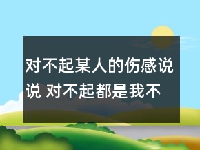 对不起某人的伤感说说 对不起都是我不好的句子95句