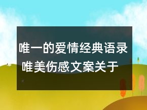 唯一的爱情经典语录 唯美伤感文案关于爱情76句