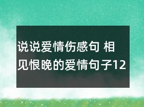 说说爱情伤感句 相见恨晚的爱情句子126句