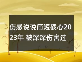 伤感说说简短戳心2023年 被深深伤害过的说说150句