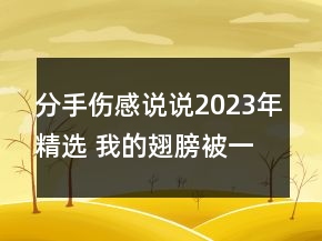 分手伤感说说2023年精选 我的翅膀被一滴泪烫伤飞不143句