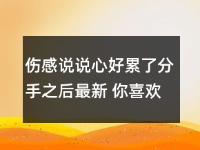 伤感说说心好累了分手之后最新 你喜欢的人还在147句