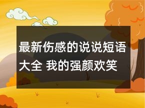 最新伤感的说说短语大全 我的强颜欢笑是否能让70句