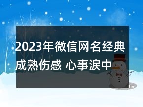2023年微信网名经典成熟伤感 心事涙中流139句