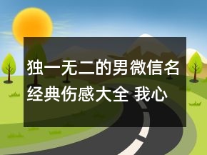 独一无二的男微信名经典伤感大全 我心存她94句