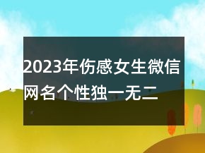 2023年伤感女生微信网名个性独一无二 毕竟我不出众95句