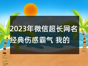 2023年微信超长网名经典伤感霸气 我的真心换来你的149句