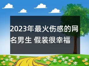 2023年最火伤感的网名男生 假装很幸福83句