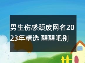 男生伤感颓废网名2023年精选 醒醒吧别傻了139句