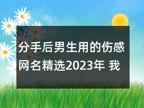 分手后男生用的伤感网名精选2023年 我假装放手你却96句